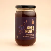 Мед "Ямуна",  500 г, Иша Лайф; Jamun Honey 500 gm, Isha Life
